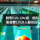 格科微电子Fab-Lite模式推动国产CIS高端突围 格科微电子Fab-Lite模式推动国产CIS高端突围