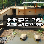 半导体巨头裁员优化产能布局 美国新厂扩建引发行业关注 半导体巨头裁员优化产能布局 美国新厂扩建引发行业关注