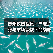 半导体巨头裁员优化产能布局 美国新厂扩建引发行业关注 半导体巨头裁员优化产能布局 美国新厂扩建引发行业关注