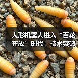 人形机器人产业技术突破引领市场格局 人形机器人产业技术突破引领市场格局