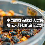 中国低空经济迈入商业化时代 载人无人机正式运营 中国低空经济迈入商业化时代 载人无人机正式运营