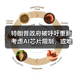 美国AI芯片限制引盟友反对 科技企业呼吁调整 美国AI芯片限制引盟友反对 科技企业呼吁调整