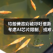 美国AI芯片限制引盟友反对 科技企业呼吁调整 美国AI芯片限制引盟友反对 科技企业呼吁调整