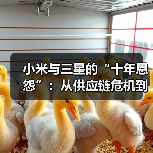 三星李在镕访华与小米共探供应链变革与产业合作未来 三星李在镕访华与小米共探供应链变革与产业合作未来