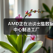 AMD数据中心工厂遭亚洲企业竞购
