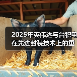 台积电CoWoS-L升级助AI芯片性能突破 台积电CoWoS-L升级助AI芯片性能突破