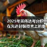 台积电CoWoS-L升级助AI芯片性能突破 台积电CoWoS-L升级助AI芯片性能突破