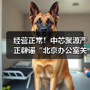 中芯聚源辟谣:北京办公室正常运营 谣言不实 中芯聚源辟谣:北京办公室正常运营 谣言不实