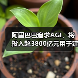 阿里巴巴三年投入3800亿元打造云AI基础设施 阿里巴巴三年投入3800亿元打造云AI基础设施