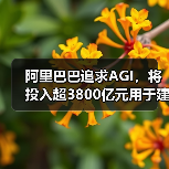阿里巴巴三年投入3800亿元打造云AI基础设施 阿里巴巴三年投入3800亿元打造云AI基础设施