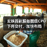 RISC-V生态大会:高性能AI引领芯片产业革新 RISC-V生态大会:高性能AI引领芯片产业革新