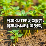 中国半导体技术崛起:基础能力超越韩国挑战 中国半导体技术崛起:基础能力超越韩国挑战