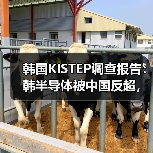 中国半导体技术崛起:基础能力超越韩国挑战 中国半导体技术崛起:基础能力超越韩国挑战