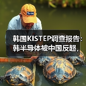 中国半导体技术崛起:基础能力超越韩国挑战 中国半导体技术崛起:基础能力超越韩国挑战
