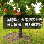 格力芯片研发突破 中国制造责任担当 格力芯片研发突破 中国制造责任担当