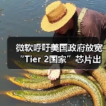 微软呼吁调整AI芯片出口管制维护全球竞争力 微软呼吁调整AI芯片出口管制维护全球竞争力
