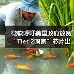 微软呼吁调整AI芯片出口管制维护全球竞争力 微软呼吁调整AI芯片出口管制维护全球竞争力
