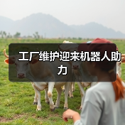 协作机器人助力晶圆制造设备维护,提升产量效率 协作机器人助力晶圆制造设备维护,提升产量效率