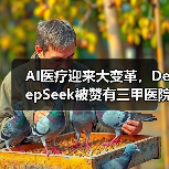 AI技术革新医疗行业:精准诊断与效率提升 AI技术革新医疗行业:精准诊断与效率提升
