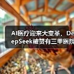 AI技术革新医疗行业:精准诊断与效率提升 AI技术革新医疗行业:精准诊断与效率提升