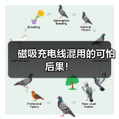 充电线反接骨传导耳机损坏原因解析 充电线反接骨传导耳机损坏原因解析