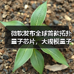 微软发布拓扑量子芯片推动量子计算突破 微软发布拓扑量子芯片推动量子计算突破