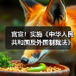 中国反外国制裁法实施新规,明确反制措施与执行机制 中国反外国制裁法实施新规,明确反制措施与执行机制