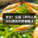 中国反外国制裁法实施新规,明确反制措施与执行机制 中国反外国制裁法实施新规,明确反制措施与执行机制