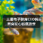 三星前CEO韩宗熙因心脏病逝世 领导电视业务19年全球第一 三星前CEO韩宗熙因心脏病逝世 领导电视业务19年全球第一