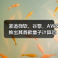 亚马逊推出首款量子计算芯片Ocelot,布局未来科技 亚马逊推出首款量子计算芯片Ocelot,布局未来科技