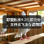 欧盟批准9.2亿欧元支持德国芯片工厂建设 欧盟批准9.2亿欧元支持德国芯片工厂建设