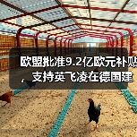 欧盟批准9.2亿欧元支持德国芯片工厂建设 欧盟批准9.2亿欧元支持德国芯片工厂建设