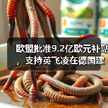 欧盟批准9.2亿欧元支持德国芯片工厂建设 欧盟批准9.2亿欧元支持德国芯片工厂建设