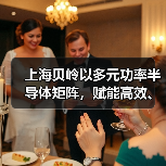 上海贝岭以多元功率半导体矩阵,赋能高效、可靠光储系统创新 上海贝岭以多元功率半导体矩阵,赋能高效、可靠光储系统创新
