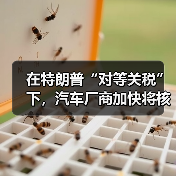 美国对等关税政策冲击全球汽车产业供应链 美国对等关税政策冲击全球汽车产业供应链