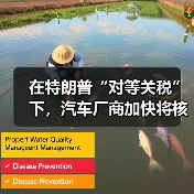 美国对等关税政策冲击全球汽车产业供应链 美国对等关税政策冲击全球汽车产业供应链