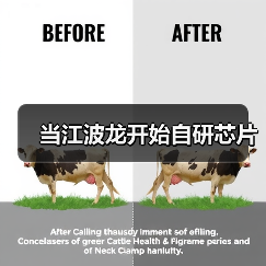 江波龙技术革新引领存储行业创新转型 江波龙技术革新引领存储行业创新转型