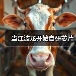 江波龙技术革新引领存储行业创新转型 江波龙技术革新引领存储行业创新转型