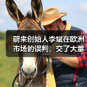 蔚来欧洲扩张战略反思:换电站建设与本土化运营经验 蔚来欧洲扩张战略反思:换电站建设与本土化运营经验
