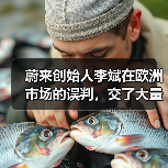 蔚来欧洲扩张战略反思:换电站建设与本土化运营经验 蔚来欧洲扩张战略反思:换电站建设与本土化运营经验