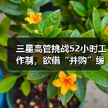韩国52小时工作制制约半导体研发进展 韩国52小时工作制制约半导体研发进展