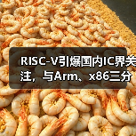 RISC-V技术生态加速发展,AI应用拓宽边界 RISC-V技术生态加速发展,AI应用拓宽边界