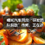 某新能源汽车品牌否认研发团队解散传闻,人员优化与资金链压力引关注 某新能源汽车品牌否认研发团队解散传闻,人员优化与资金链压力引关注
