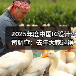 2024年中国IC设计公司出货量与应对策略调查报告 2024年中国IC设计公司出货量与应对策略调查报告