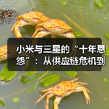 三星李在镕访华探路合作 小米供应链崛起引关注 三星李在镕访华探路合作 小米供应链崛起引关注