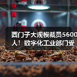 西门子全球裁员5600人 战略转型应对市场挑战 西门子全球裁员5600人 战略转型应对市场挑战