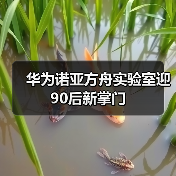 华为AI战略换帅:姚骏转岗,90后王云鹤接掌诺亚方舟实验室 华为AI战略换帅:姚骏转岗,90后王云鹤接掌诺亚方舟实验室