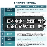 美国半导体自给自足面临供应链挑战 全球化分工仍是关键