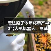 魔法原子发布人形机器人与四足机器人，开启具身智能新纪元