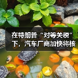 美国加征关税冲击全球供应链 美国加征关税冲击全球供应链